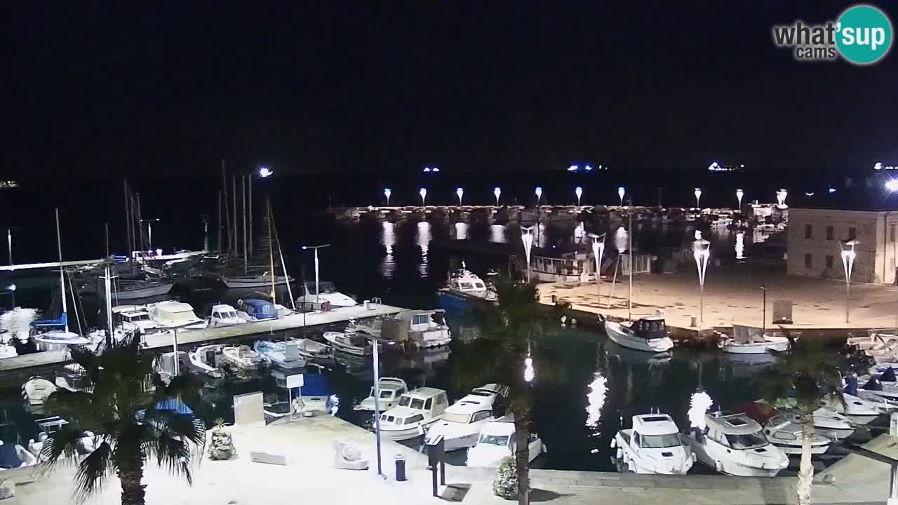 The Port of Koper live webcam – cruise and cargo port – Slovenia