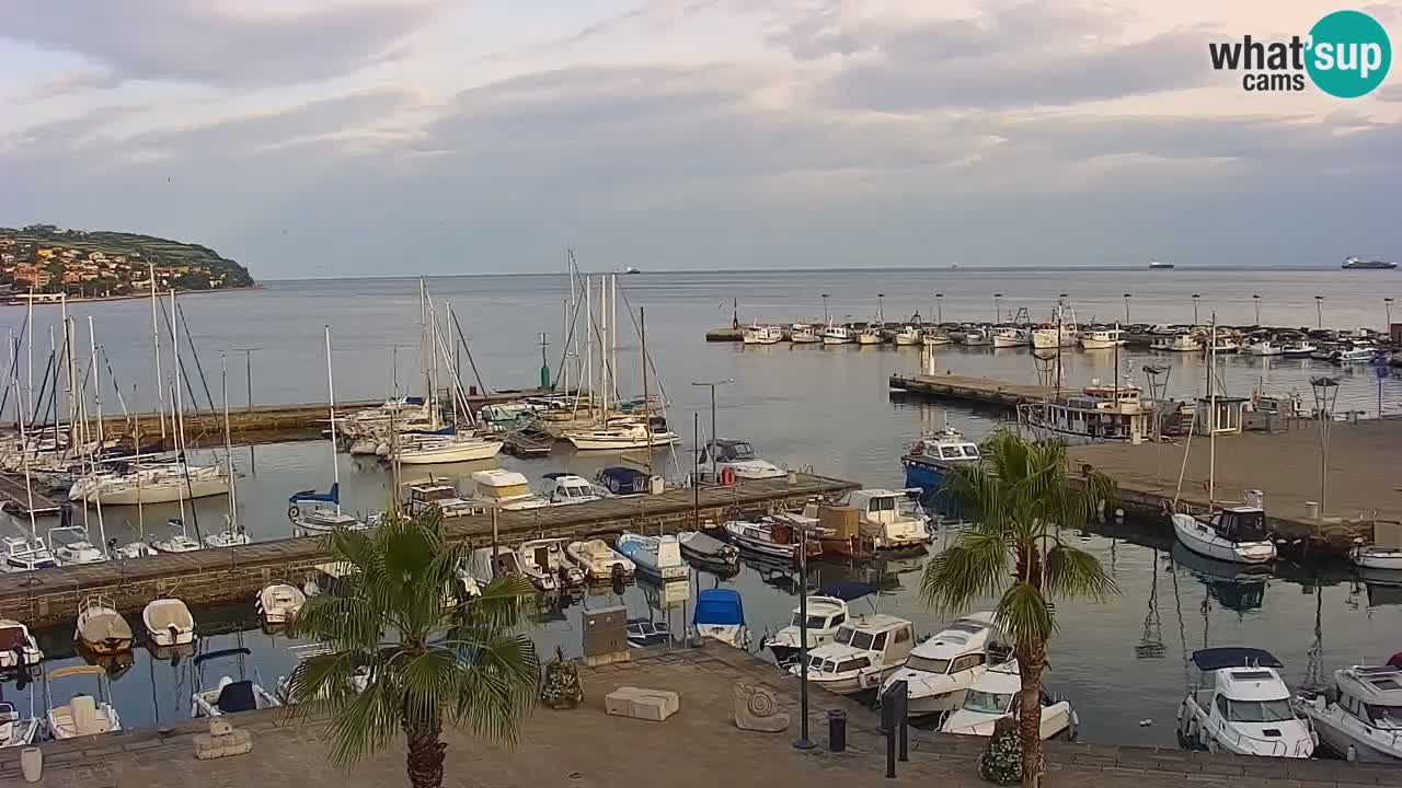Livecam Koper – Ukmarjev trg