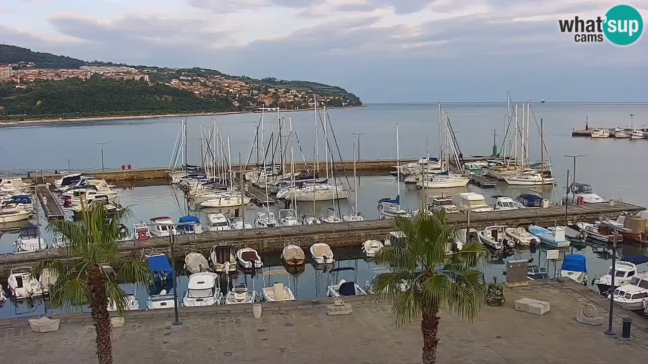Webcam Koper – Panorama de la marina et de la promenade depuis le Grand Hotel Koper