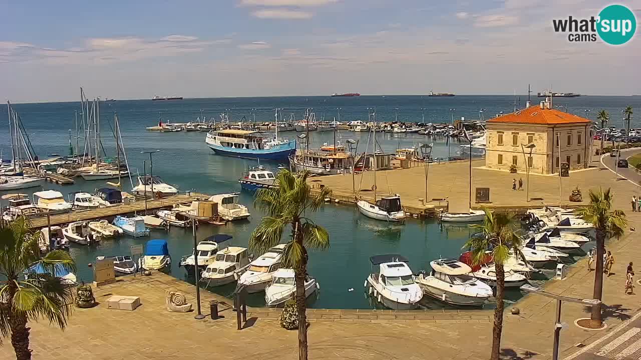 The Port of Koper live webcam – cruise and cargo port – Slovenia