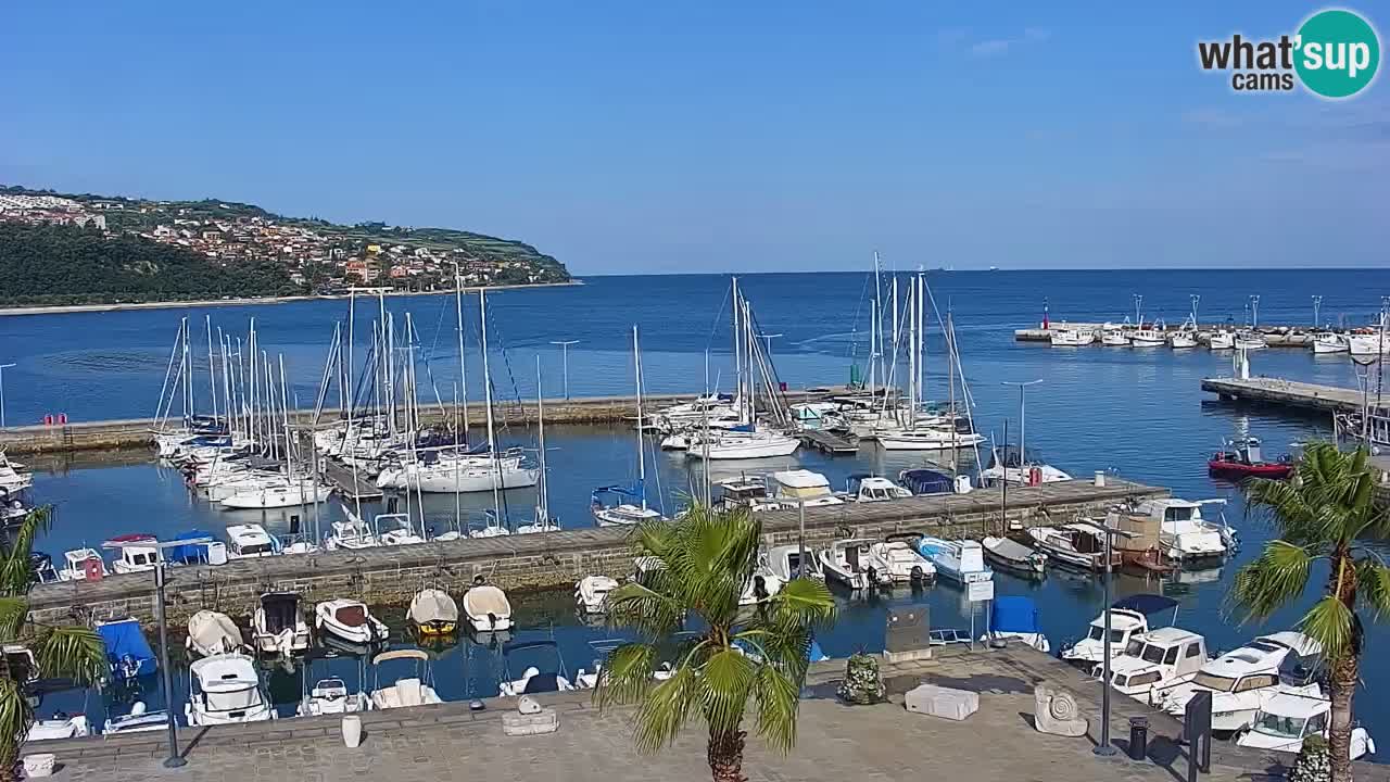 Live cam Koper – Ukmarjev trg