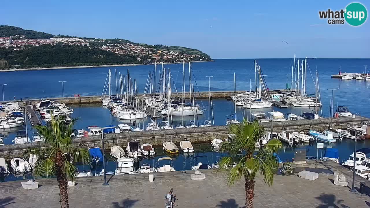 Webcam Koper – Panorama de la marina et de la promenade depuis le Grand Hotel Koper