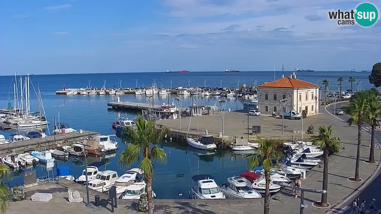 The Port of Koper live webcam – cruise and cargo port – Slovenia
