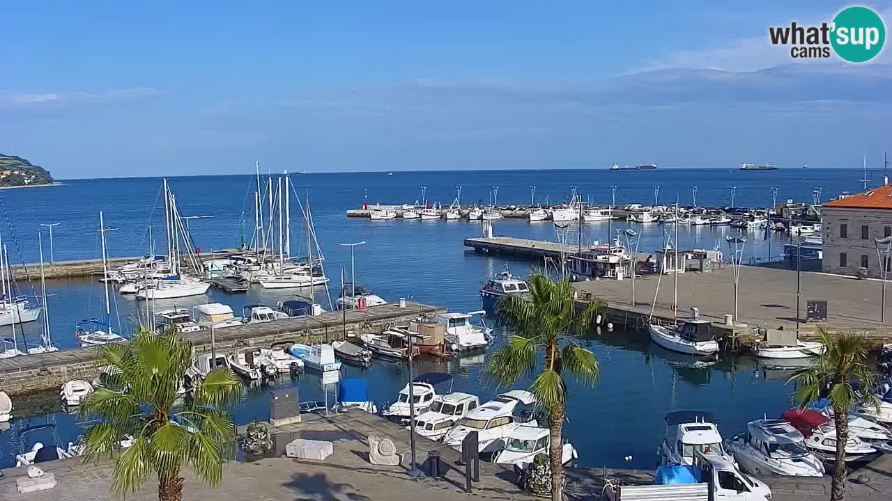 Webcam Koper – Panorama of the marina and promenade from the Grand Hotel Koper