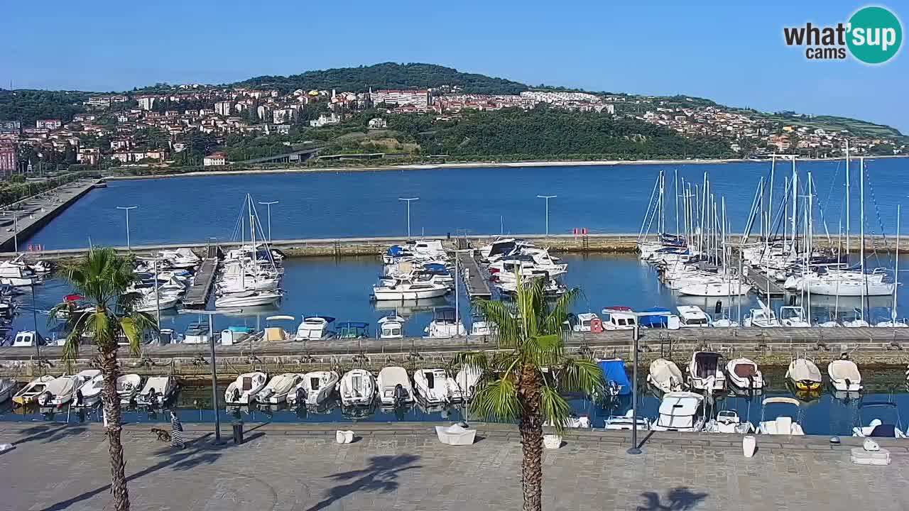 Spletna kamera Luka Koper v živo – Potniški terminal in tovorno pristanišče – Slovenija