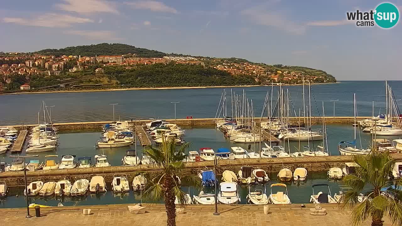 Luka Kopar uživo web kamera – Turistički terminal i teretna luka – Slovenija