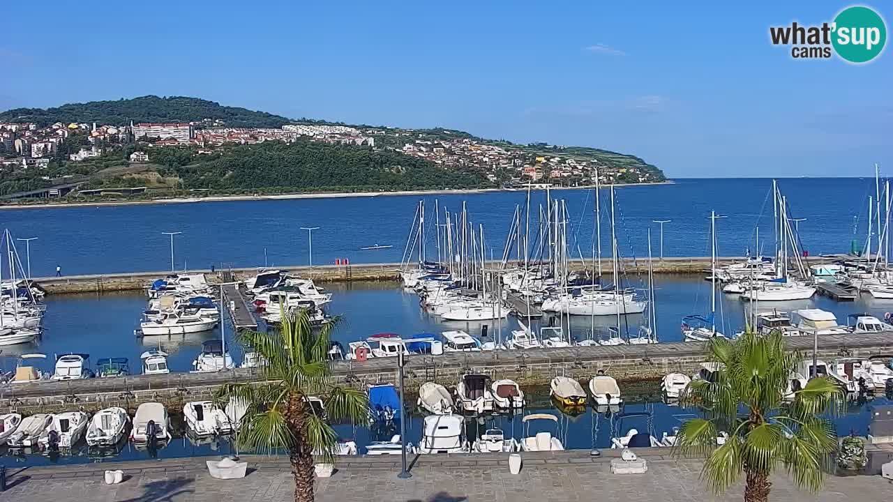 Webcam Koper – Ukmarjev trg