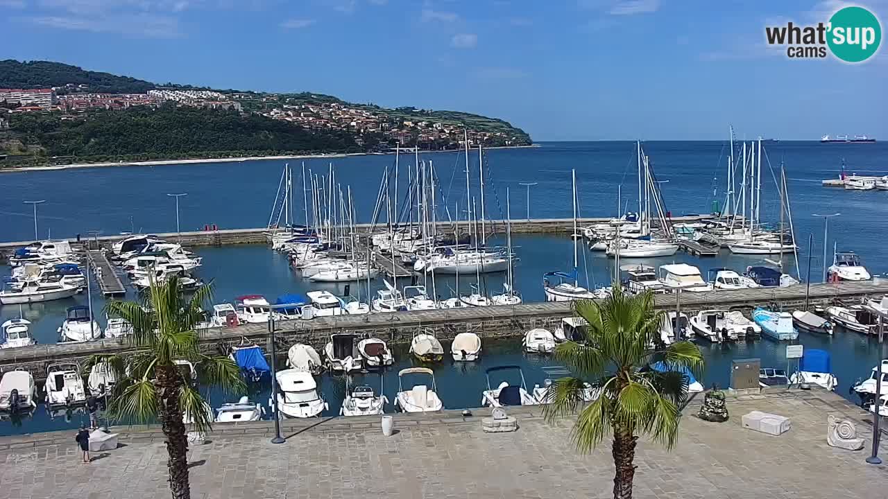 The Port of Koper live webcam – cruise and cargo port – Slovenia
