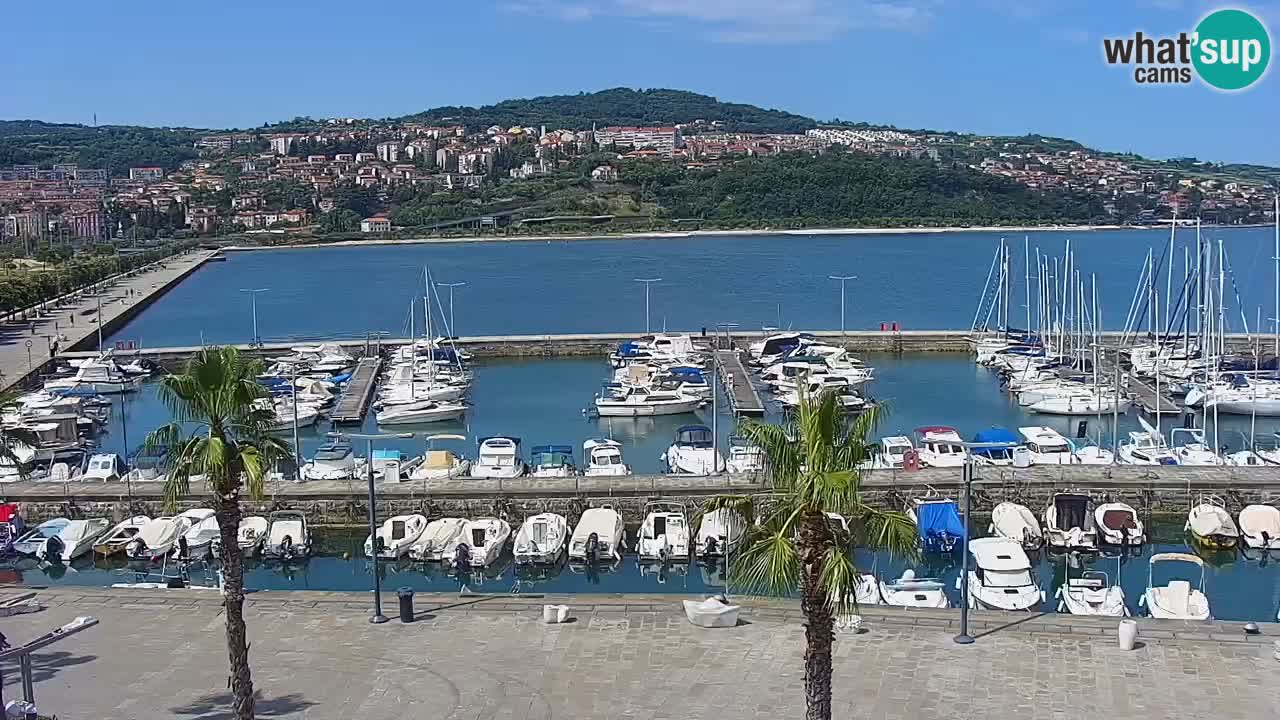 Der Hafen von Koper Live-Webcam – Kreuzfahrt- und Frachthafen – Slowenien
