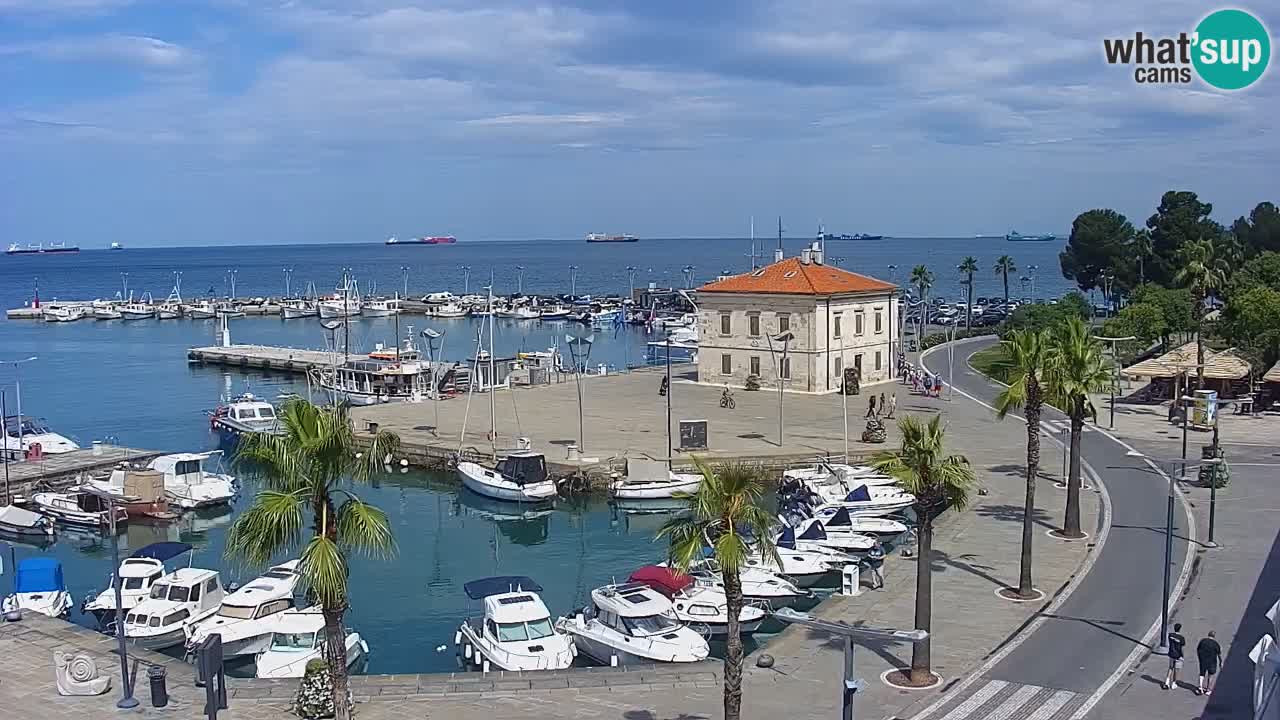 Livecam Koper – Ukmarjev trg