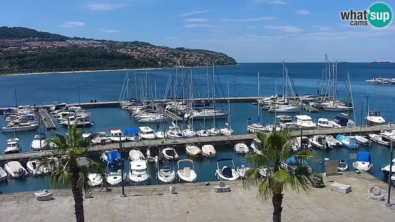 Il porto di Koper – Capodistria live webcam – porto crociere e mercantile – Slovenia