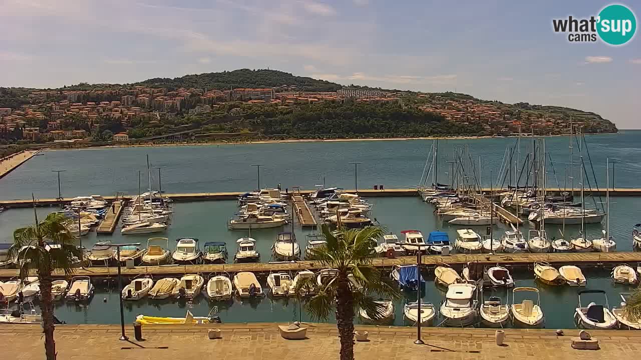 Der Hafen von Koper Live-Webcam – Kreuzfahrt- und Frachthafen – Slowenien