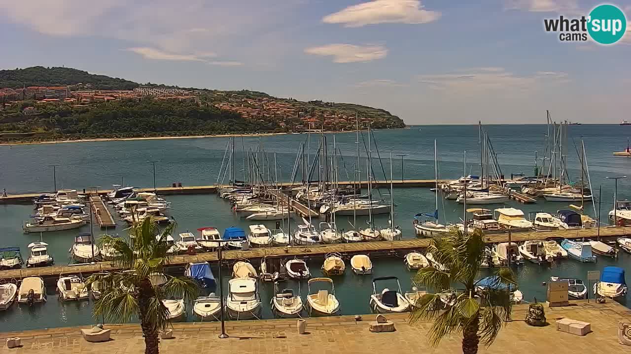 Luka Kopar uživo web kamera – Turistički terminal i teretna luka – Slovenija