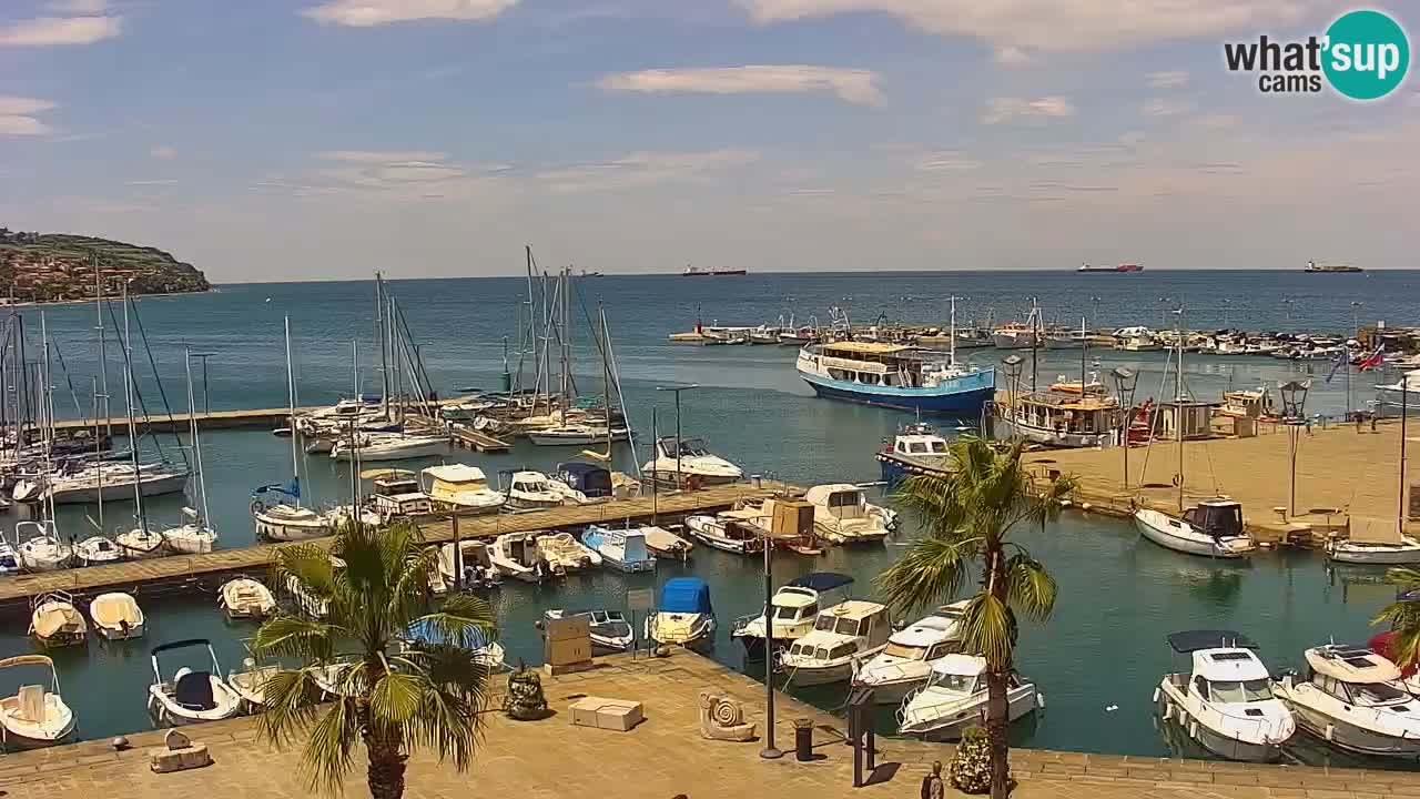 Webcam Koper – Panorama de la marina et de la promenade depuis le Grand Hotel Koper