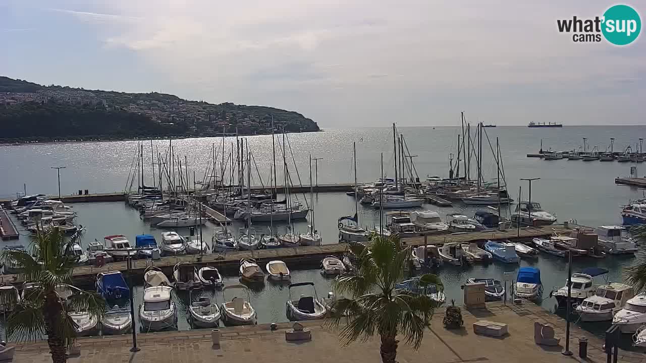 The Port of Koper live webcam – cruise and cargo port – Slovenia