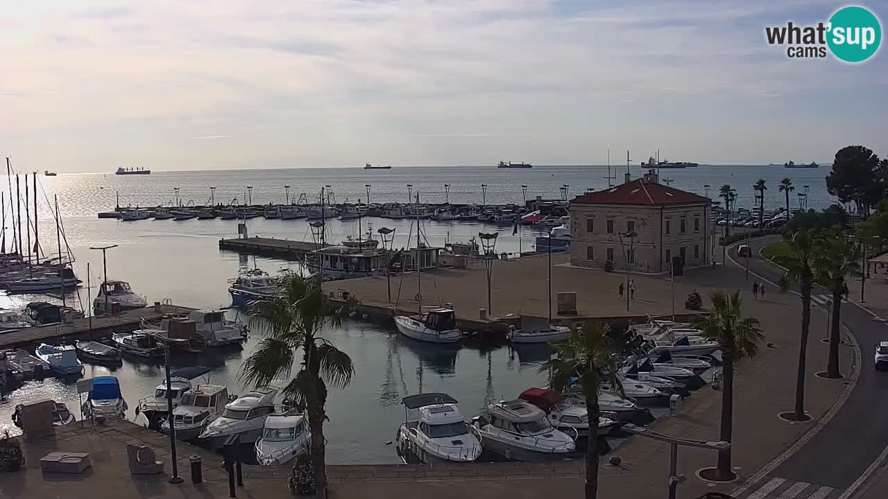 Camera en Vivo Koper – Ukmarjev trg