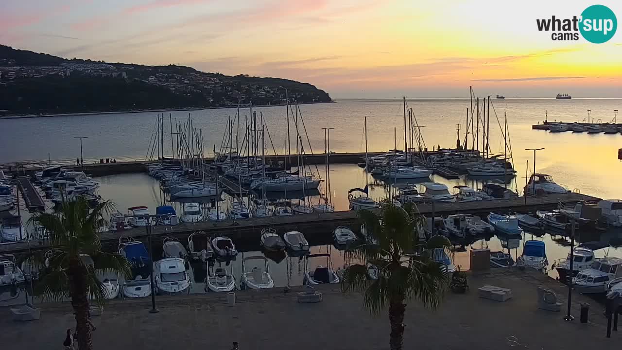 The Port of Koper live webcam – cruise and cargo port – Slovenia