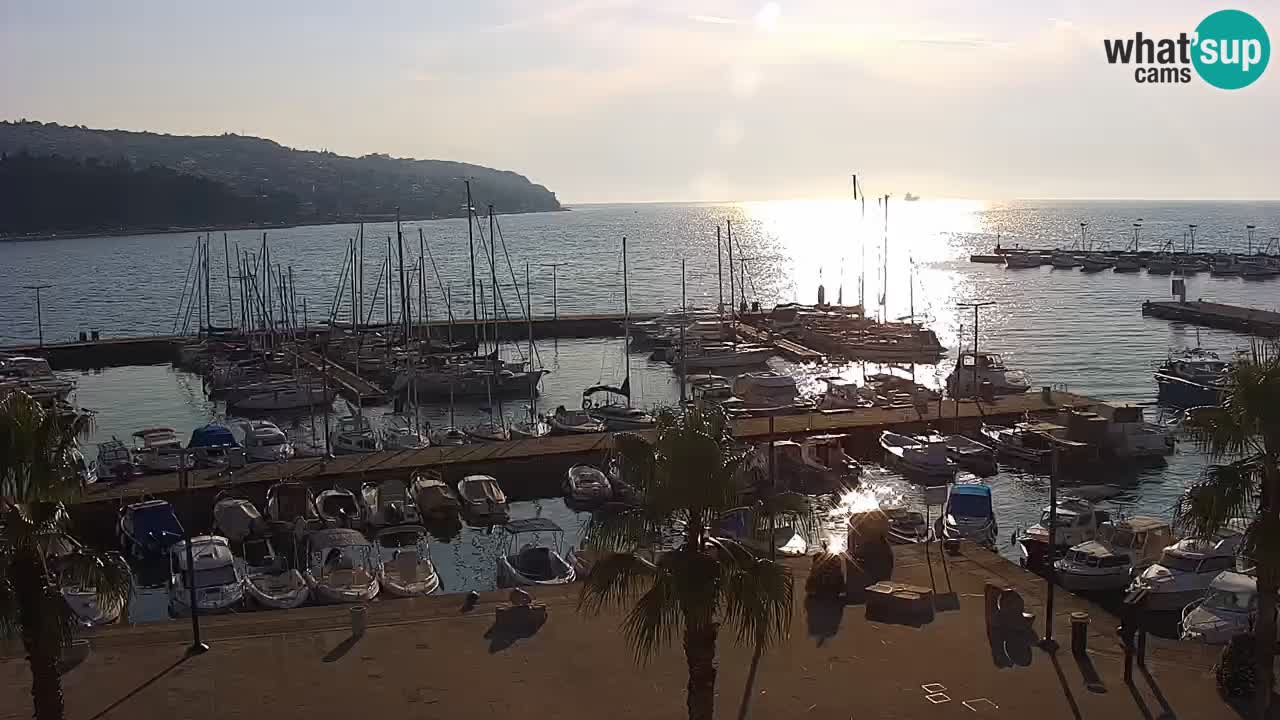Spletna kamera Koper – Panorama na marino in promenado s Hotela Grand Koper