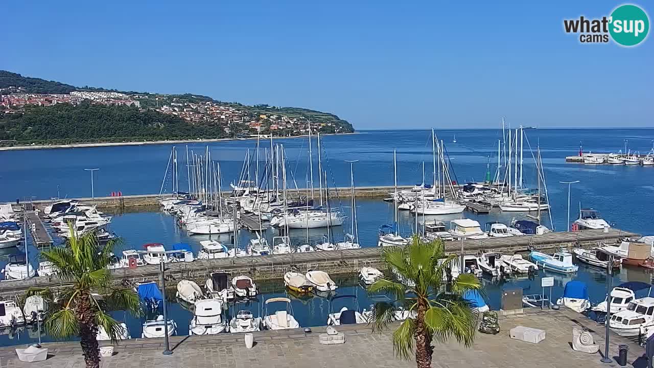 Webcam Koper – Panorama des Jachthafens und der Promenade vom Hotel Grand Koper