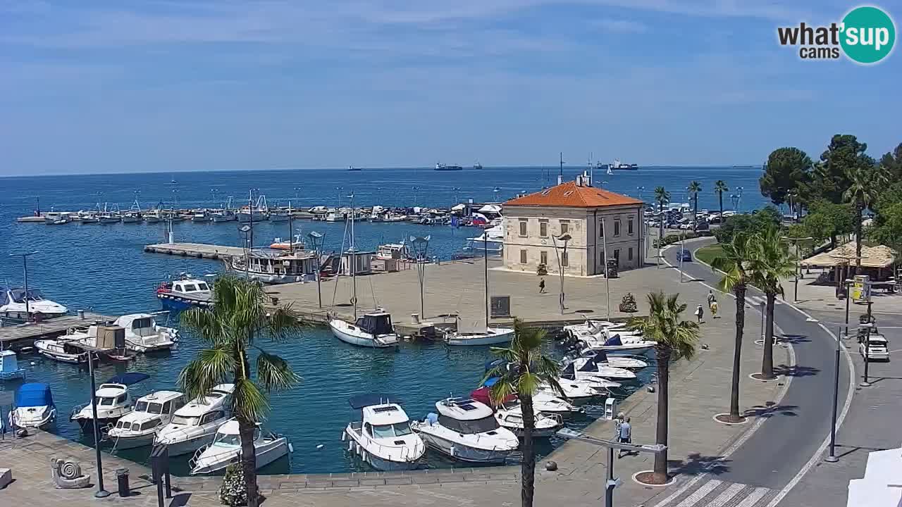 Der Hafen von Koper Live-Webcam – Kreuzfahrt- und Frachthafen – Slowenien