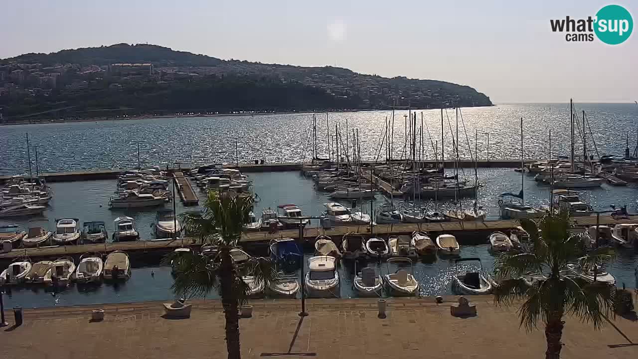 Livecam Koper – Ukmarjev trg