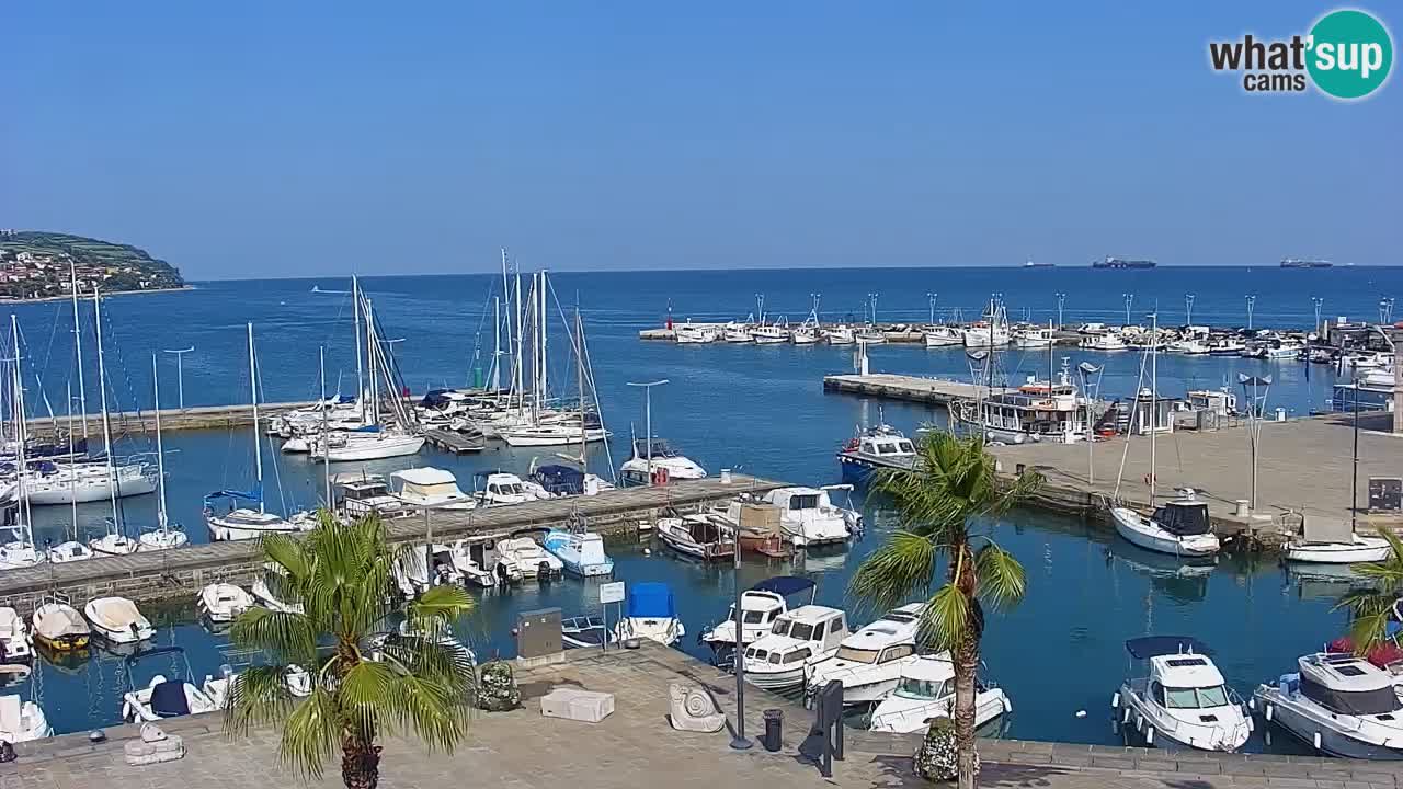 Il porto di Koper – Capodistria live webcam – porto crociere e mercantile – Slovenia