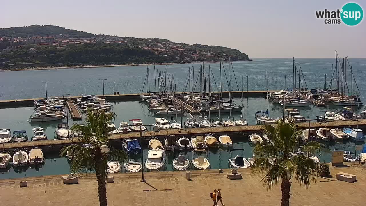 Webcam Koper – Panorama of the marina and promenade from the Grand Hotel Koper