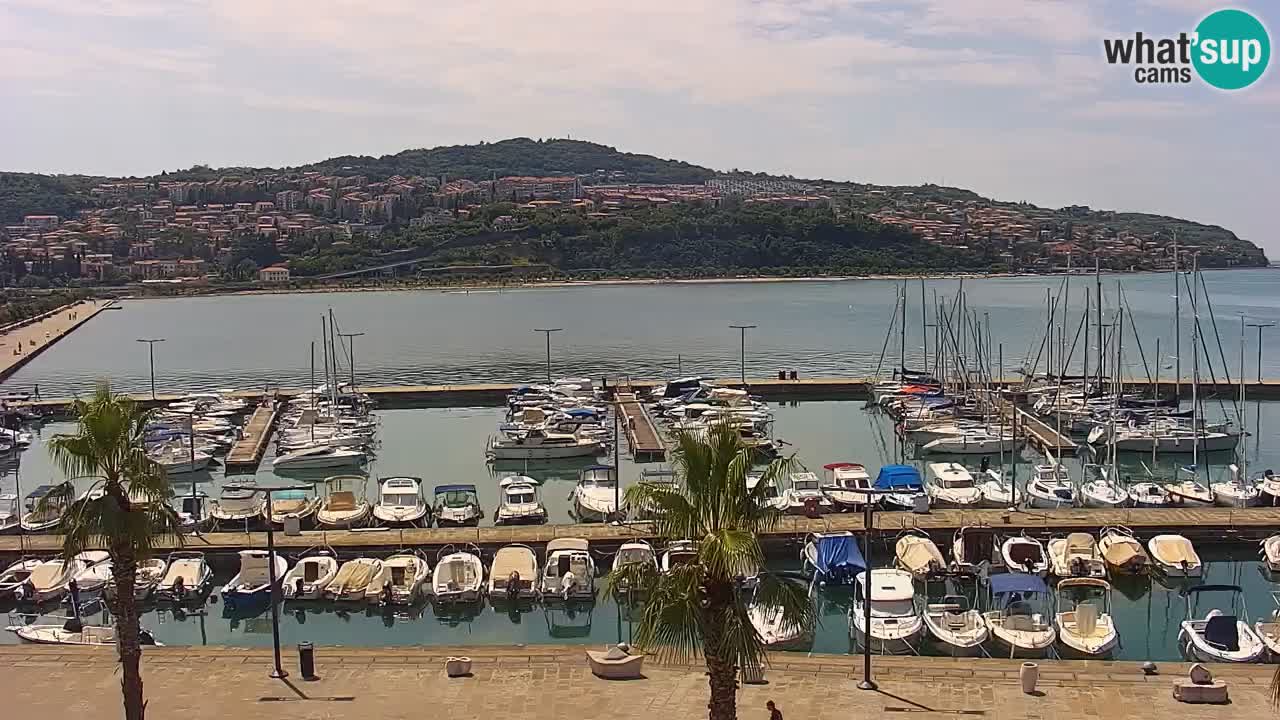 The Port of Koper live webcam – cruise and cargo port – Slovenia