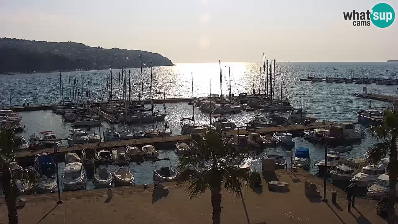 The Port of Koper live webcam – cruise and cargo port – Slovenia