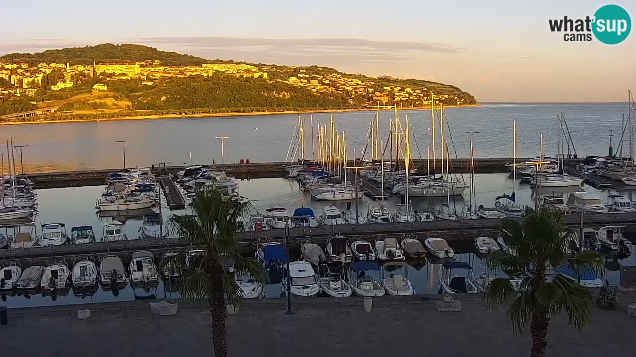 Spletna kamera Koper – Panorama na marino in promenado s Hotela Grand Koper