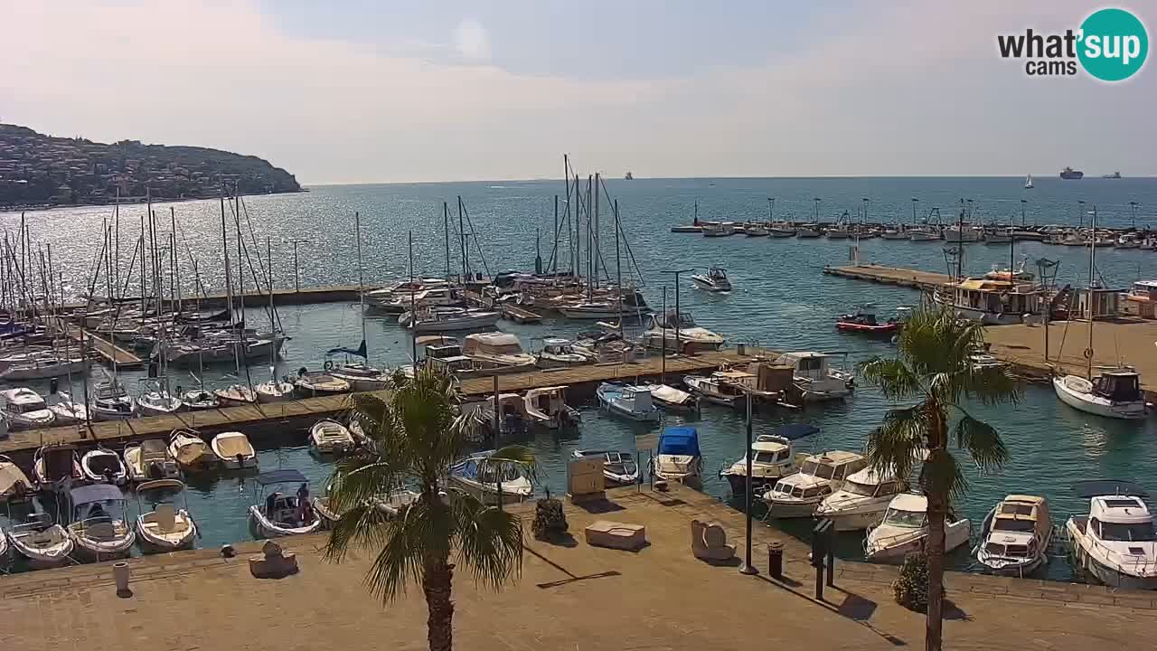 Web kamera Koper – marina i promenada – hotel Grand Koper