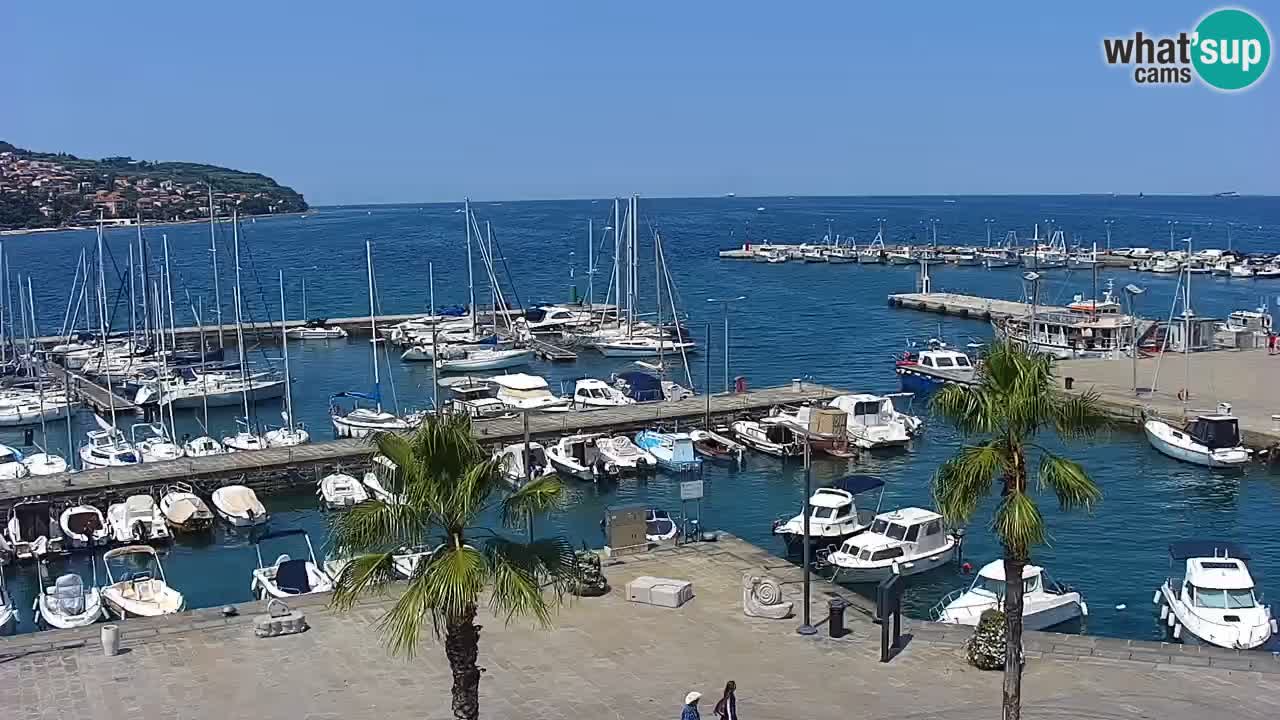 Livecam Koper – Ukmarjev trg