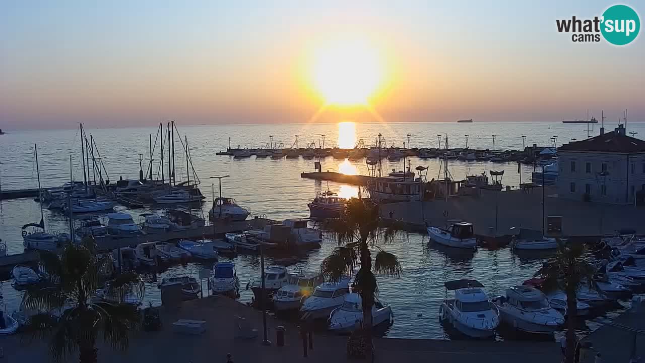 Livecam Koper – Ukmarjev trg