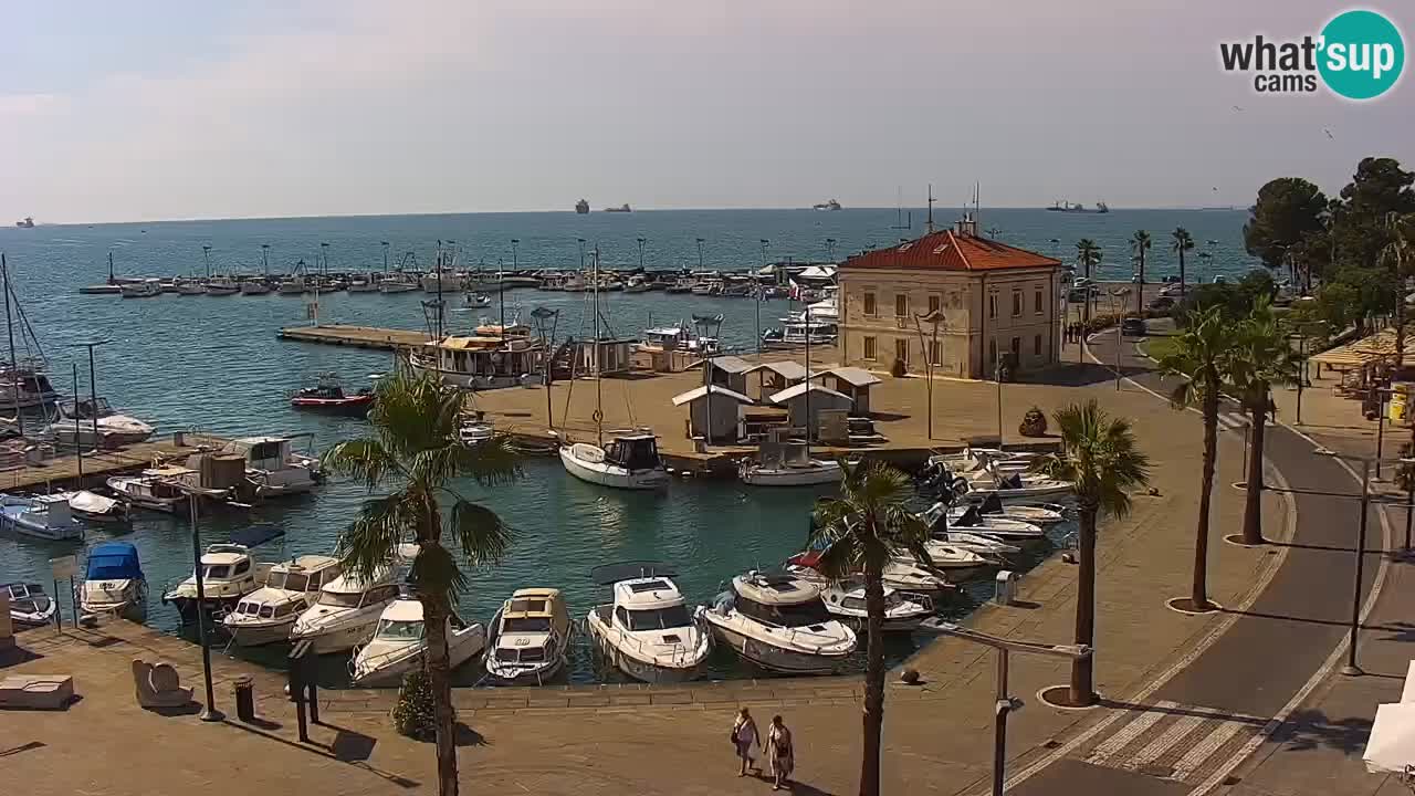 The Port of Koper live webcam – cruise and cargo port – Slovenia