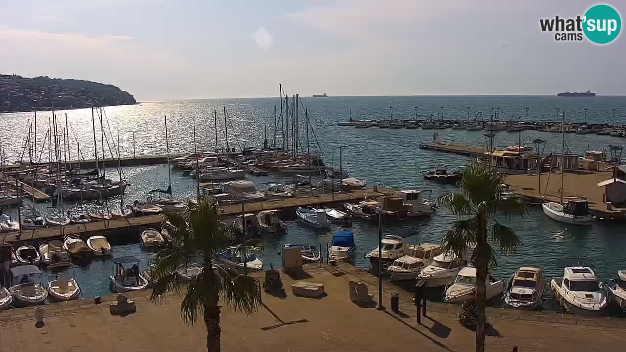 The Port of Koper live webcam – cruise and cargo port – Slovenia