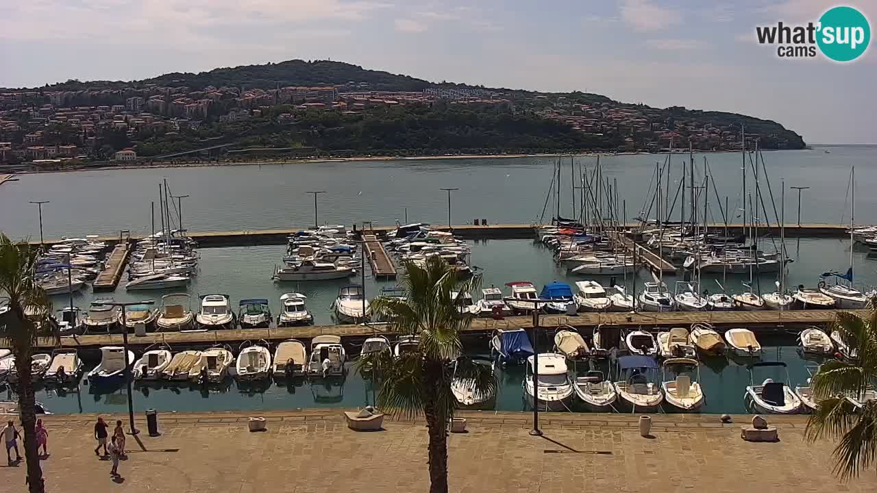Live cam Koper – Ukmarjev trg