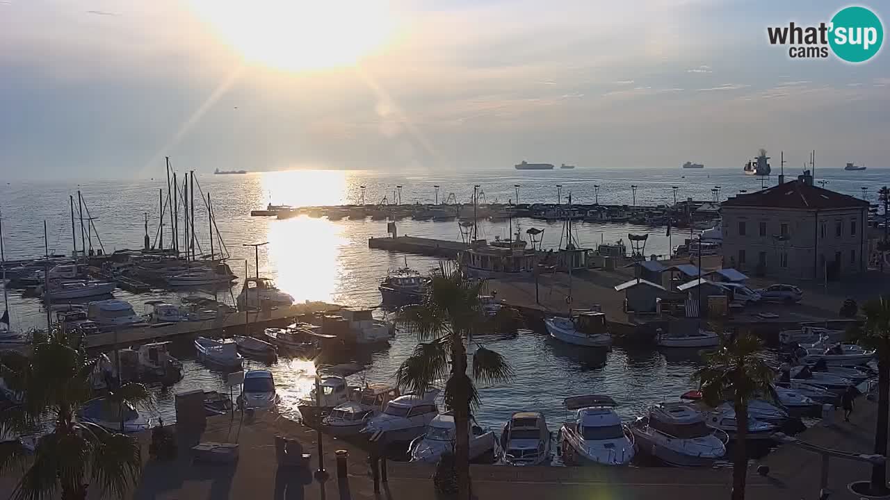 The Port of Koper live webcam – cruise and cargo port – Slovenia