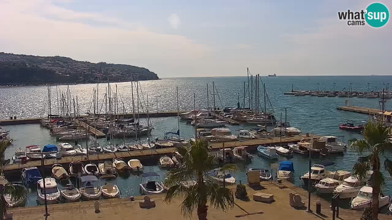 Livecam Koper – Ukmarjev trg