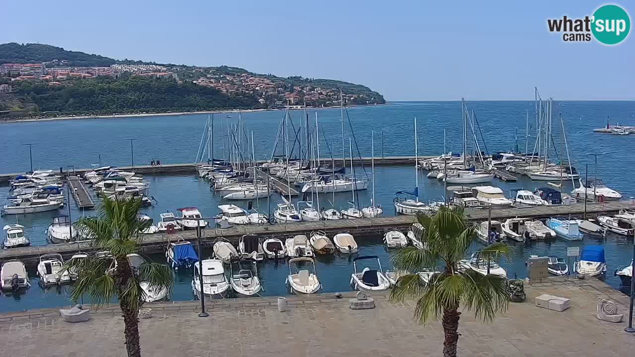 Camera en vivo Koper – puerto deportivo y paseo marítimo desde el Hotel Grand Koper