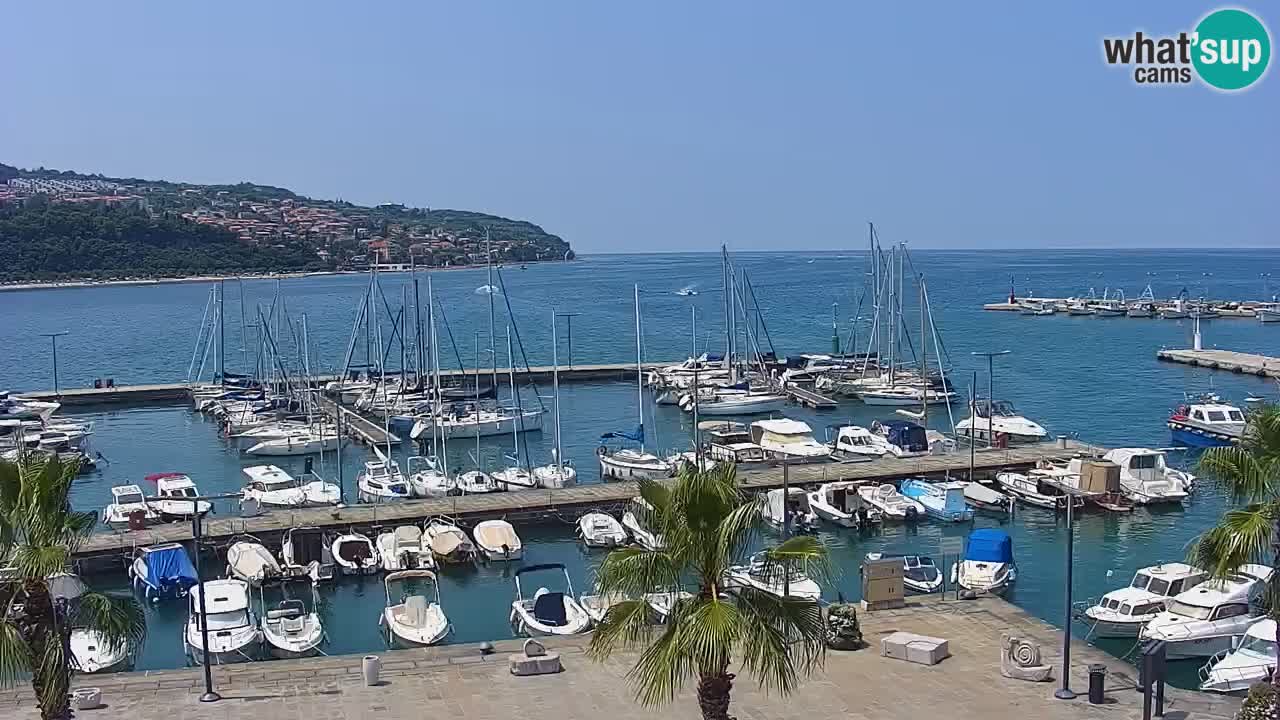 Livecam Koper – Ukmarjev trg