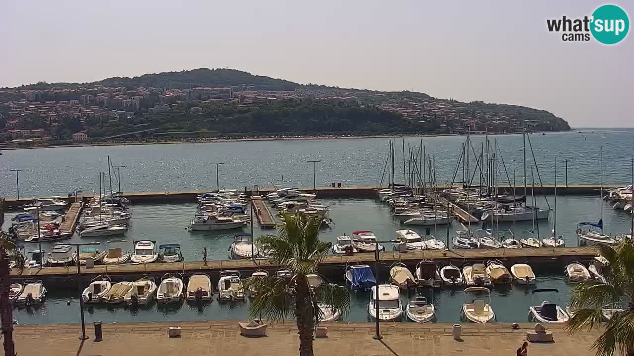 The Port of Koper live webcam – cruise and cargo port – Slovenia