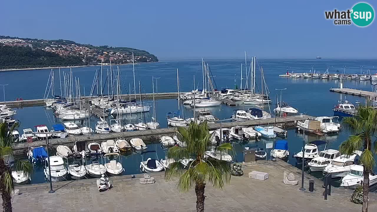 Webcam Koper – Panorama of the marina and promenade from the Grand Hotel Koper