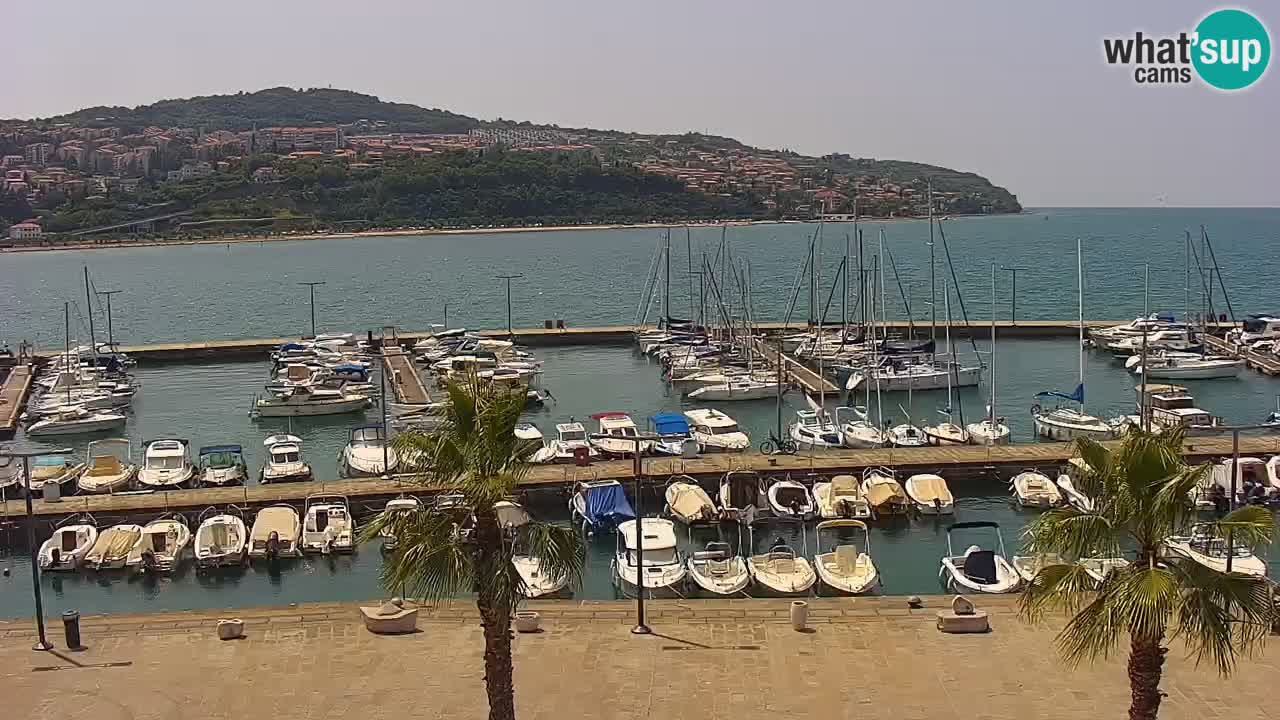 Webcam Koper – Panorama of the marina and promenade from the Grand Hotel Koper