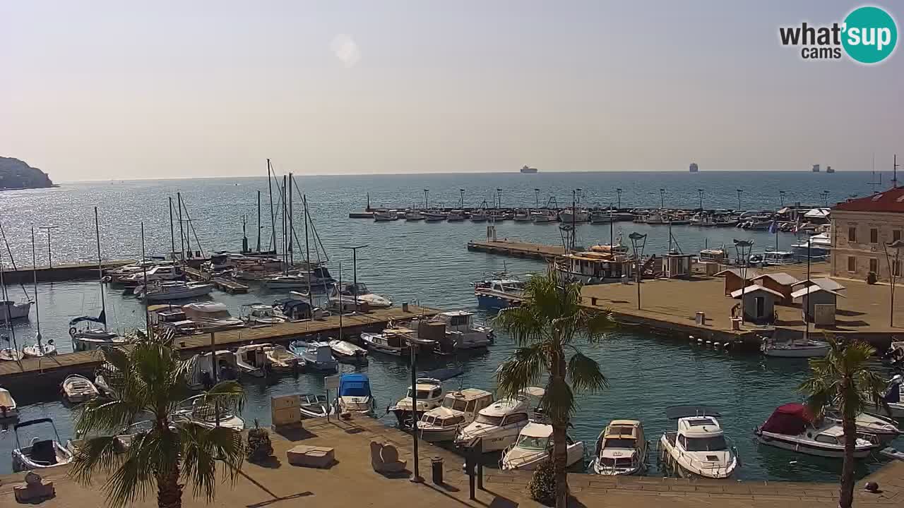 The Port of Koper live webcam – cruise and cargo port – Slovenia