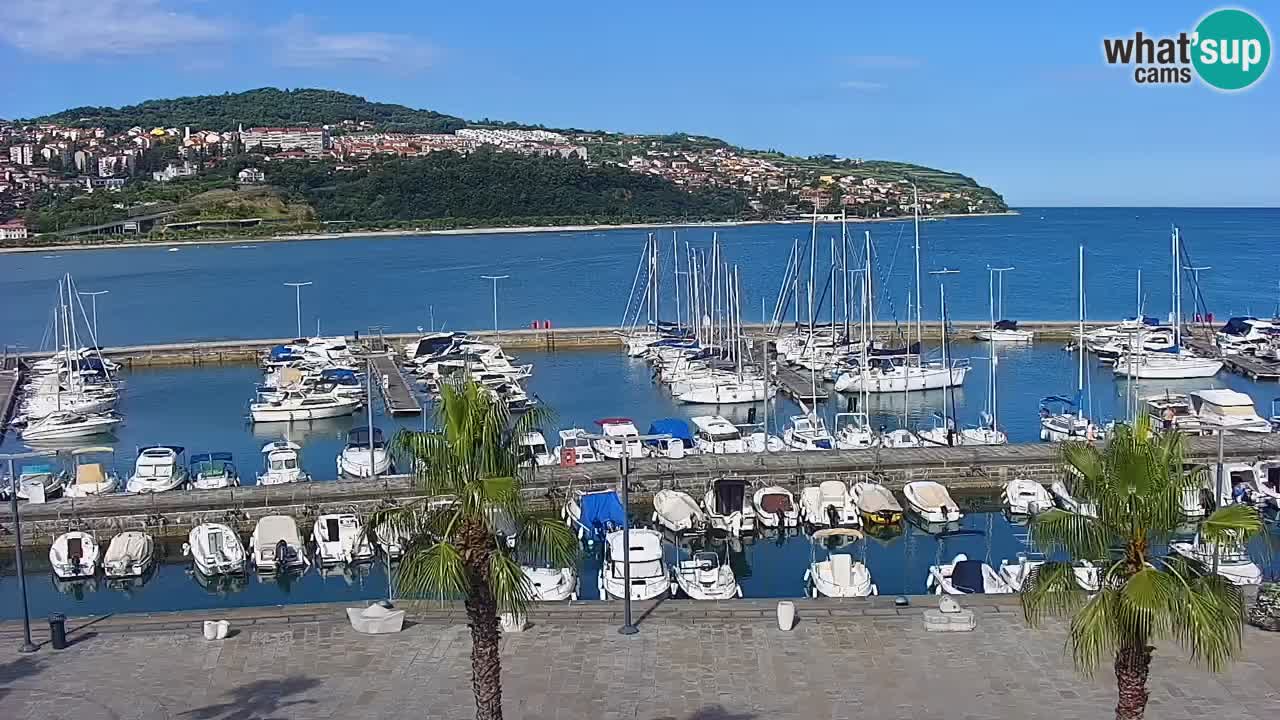 Webcam Koper – Panorama des Jachthafens und der Promenade vom Hotel Grand Koper