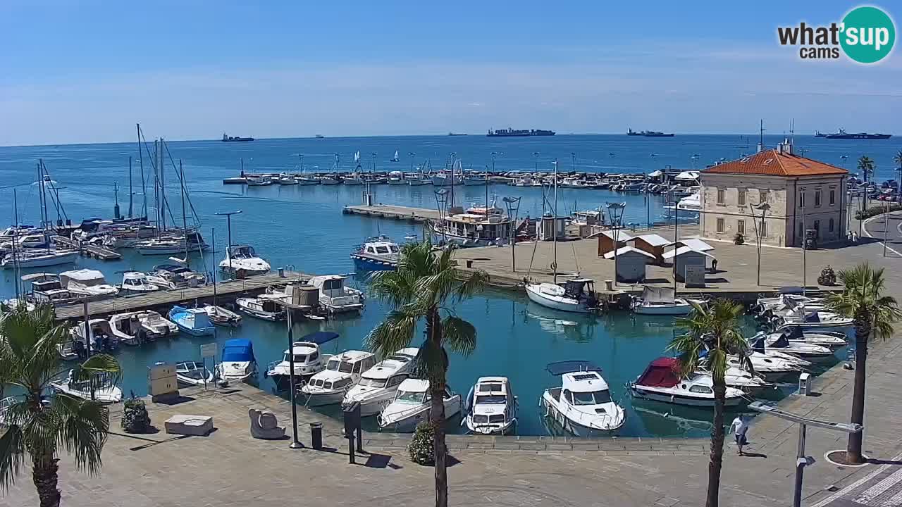 Spletna kamera Koper – Panorama na marino in promenado s Hotela Grand Koper