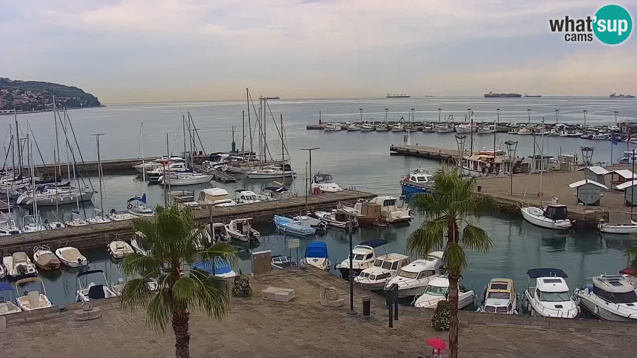 Webcam Koper – Panorama of the marina and promenade from the Grand Hotel Koper
