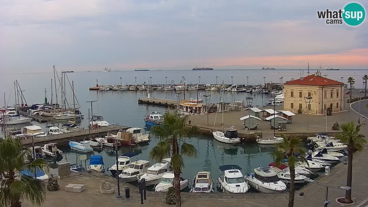 Der Hafen von Koper Live-Webcam – Kreuzfahrt- und Frachthafen – Slowenien