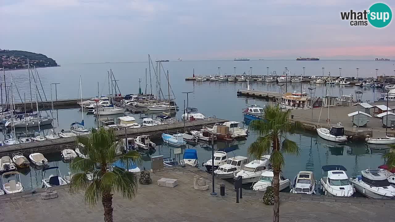 Webcam Koper – Panorama of the marina and promenade from the Grand Hotel Koper