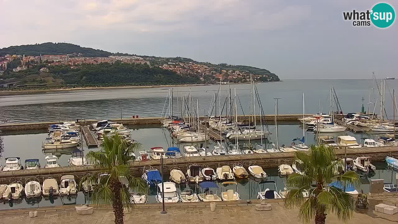 Il porto di Koper – Capodistria live webcam – porto crociere e mercantile – Slovenia